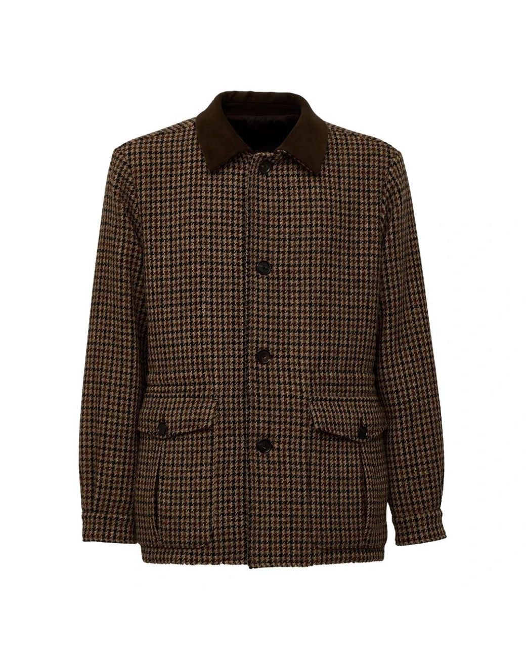 Caruso Brown Winter Jackets for men