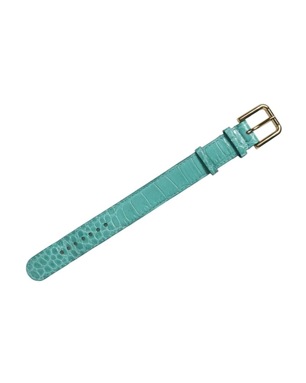 Dolce & Gabbana Green Belts