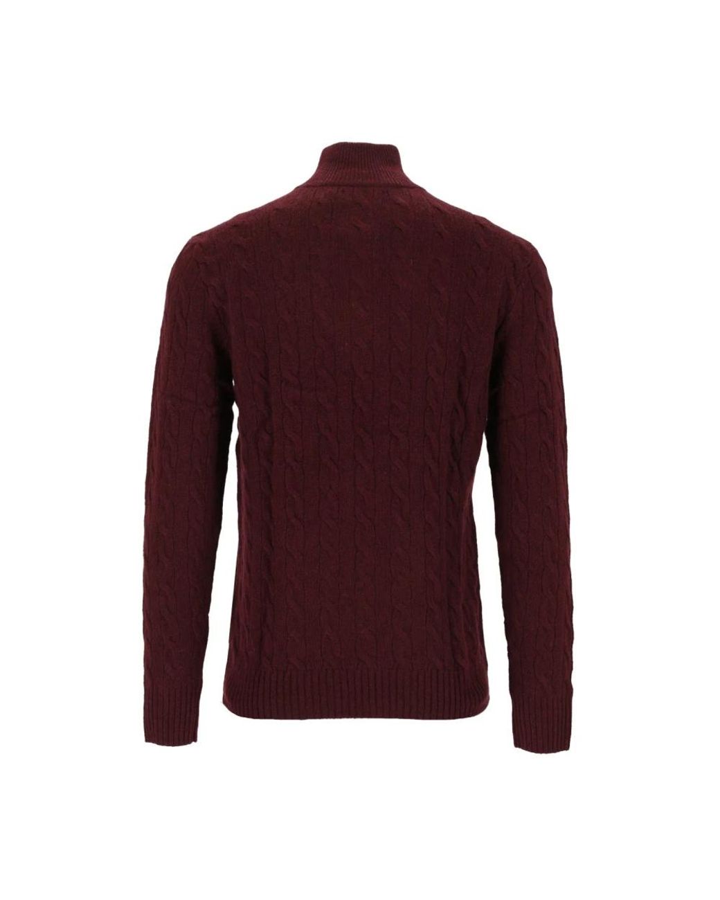 Polo Ralph Lauren Purple Turtlenecks for men