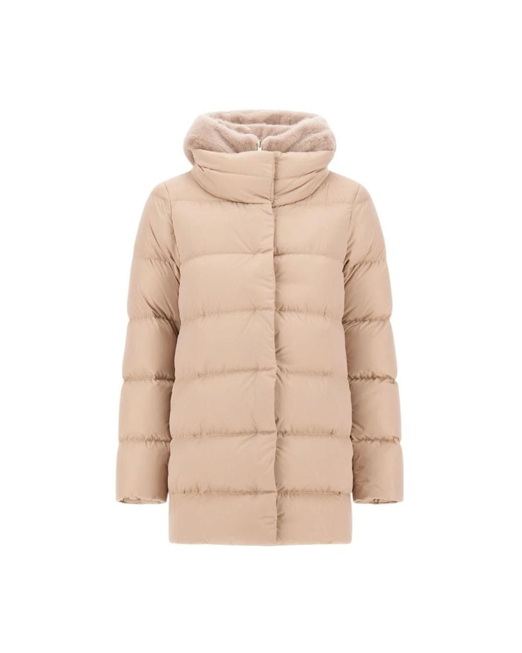 Down Jackets Herno en coloris Natural