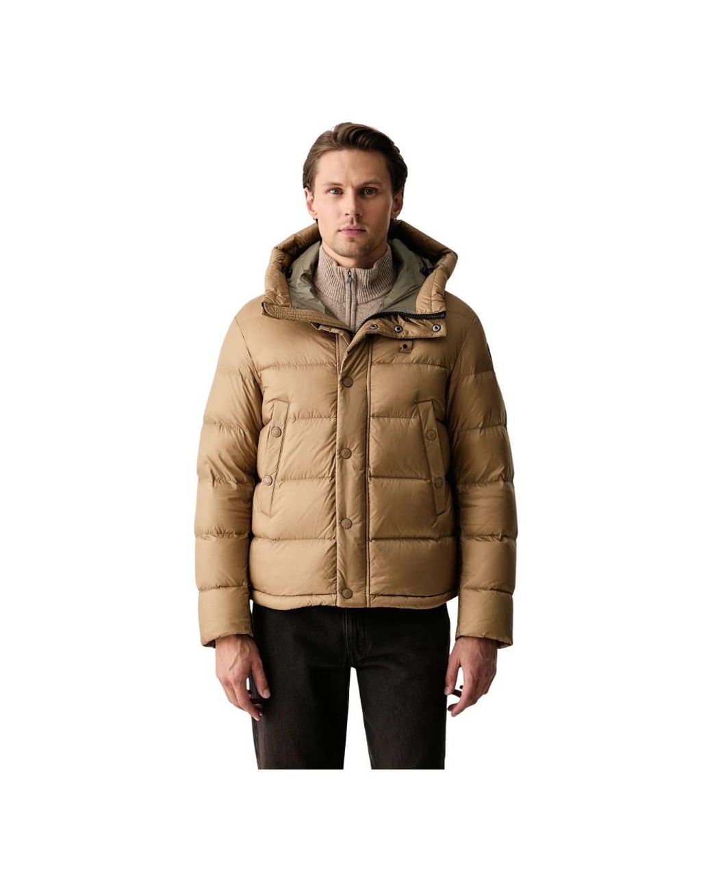 Blauer Jassen ,Bruin ,Donsjack in het Brown voor heren