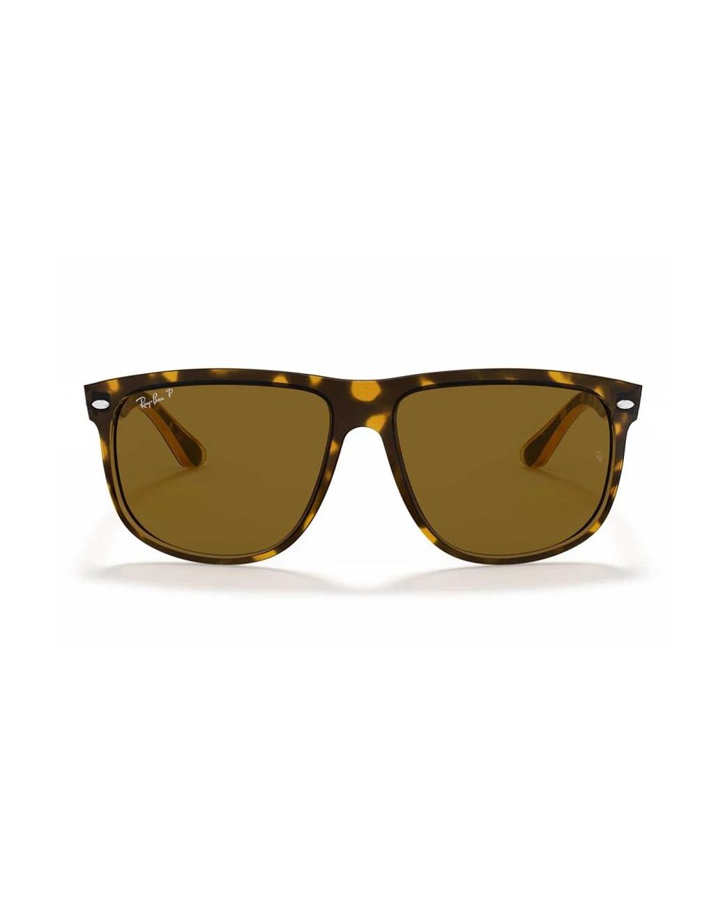 Ray-Ban Brown Sunglasses