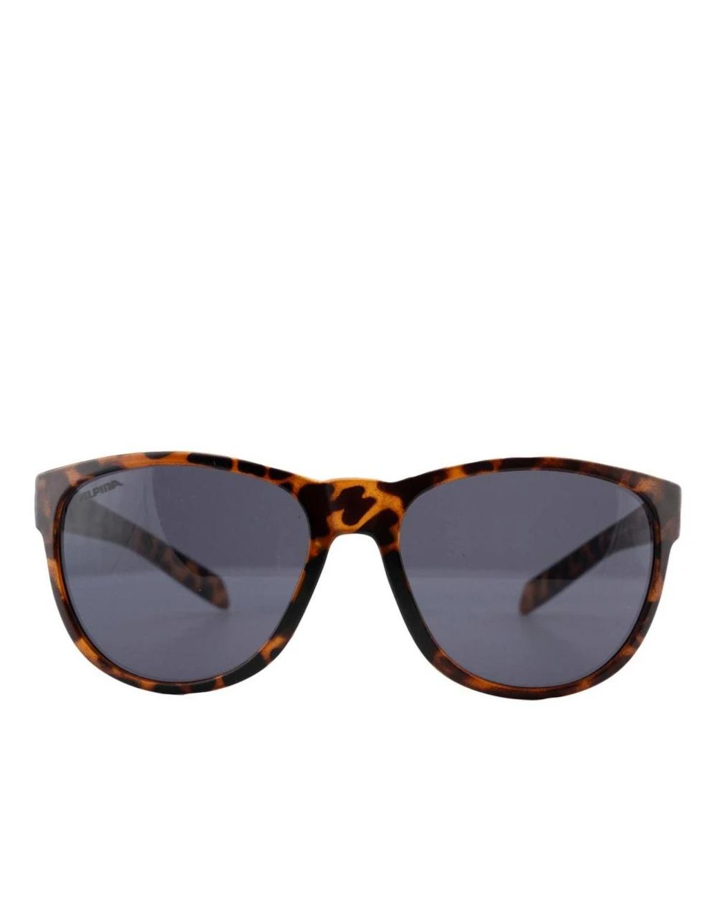 Sunglasses di Alpina in Brown