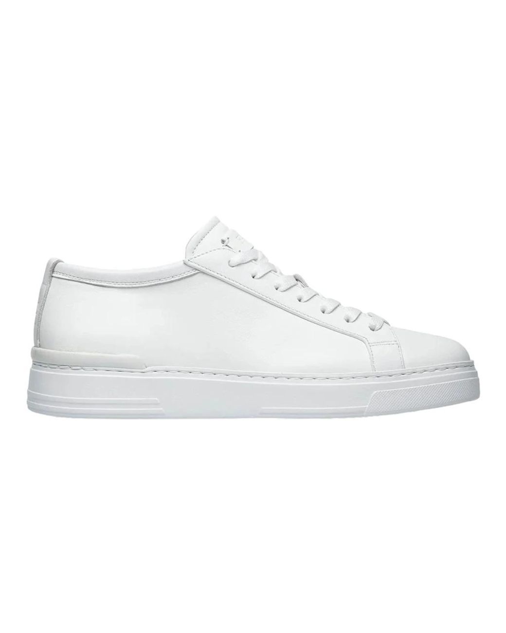Fabi White Sneakers for men