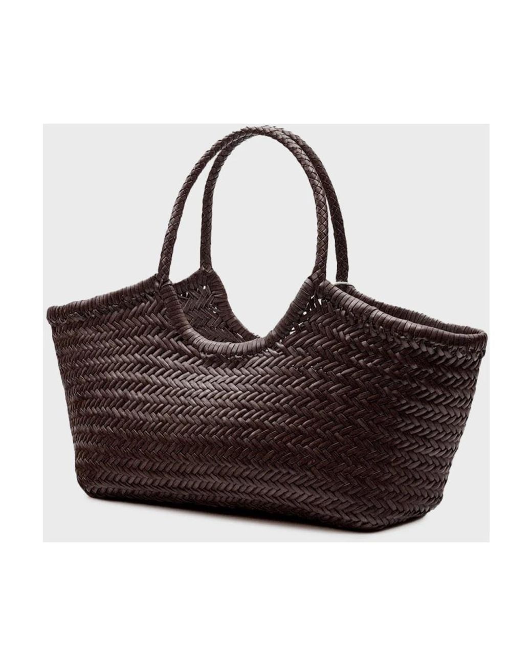 Handbags di Dragon Diffusion in Brown