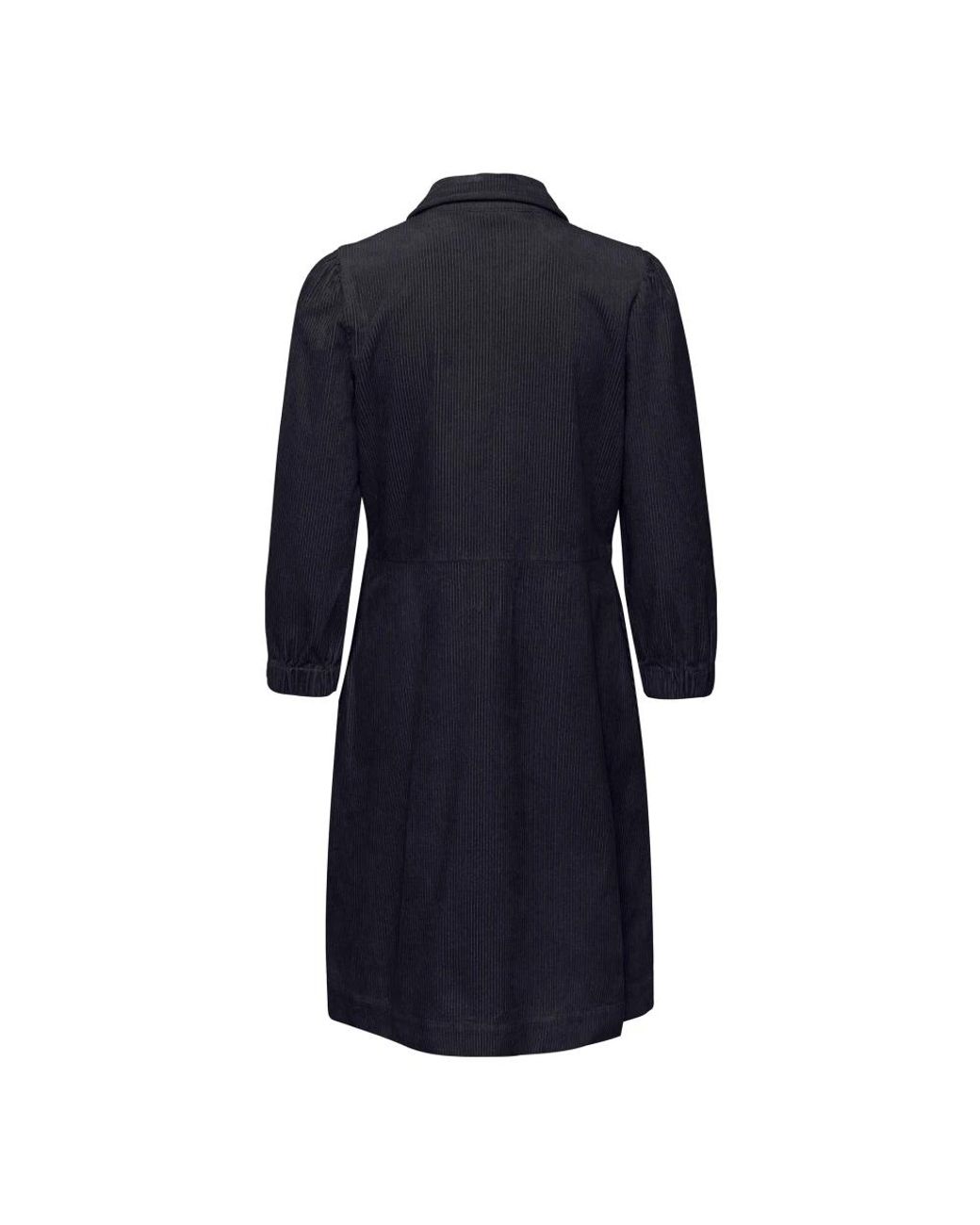 Part Two Blue Parkas