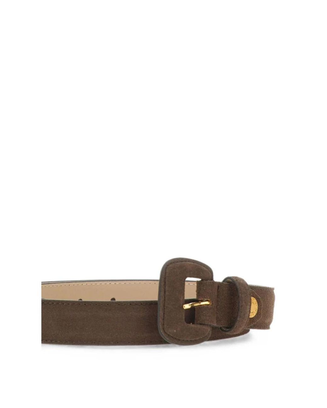 Gianni Chiarini Brown Belts