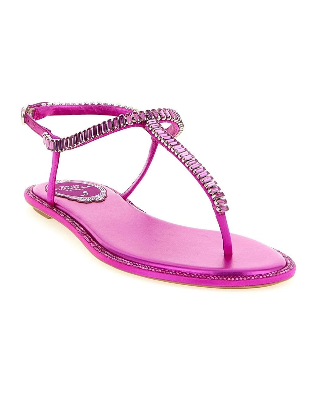 Rene Caovilla Purple Flat Sandals