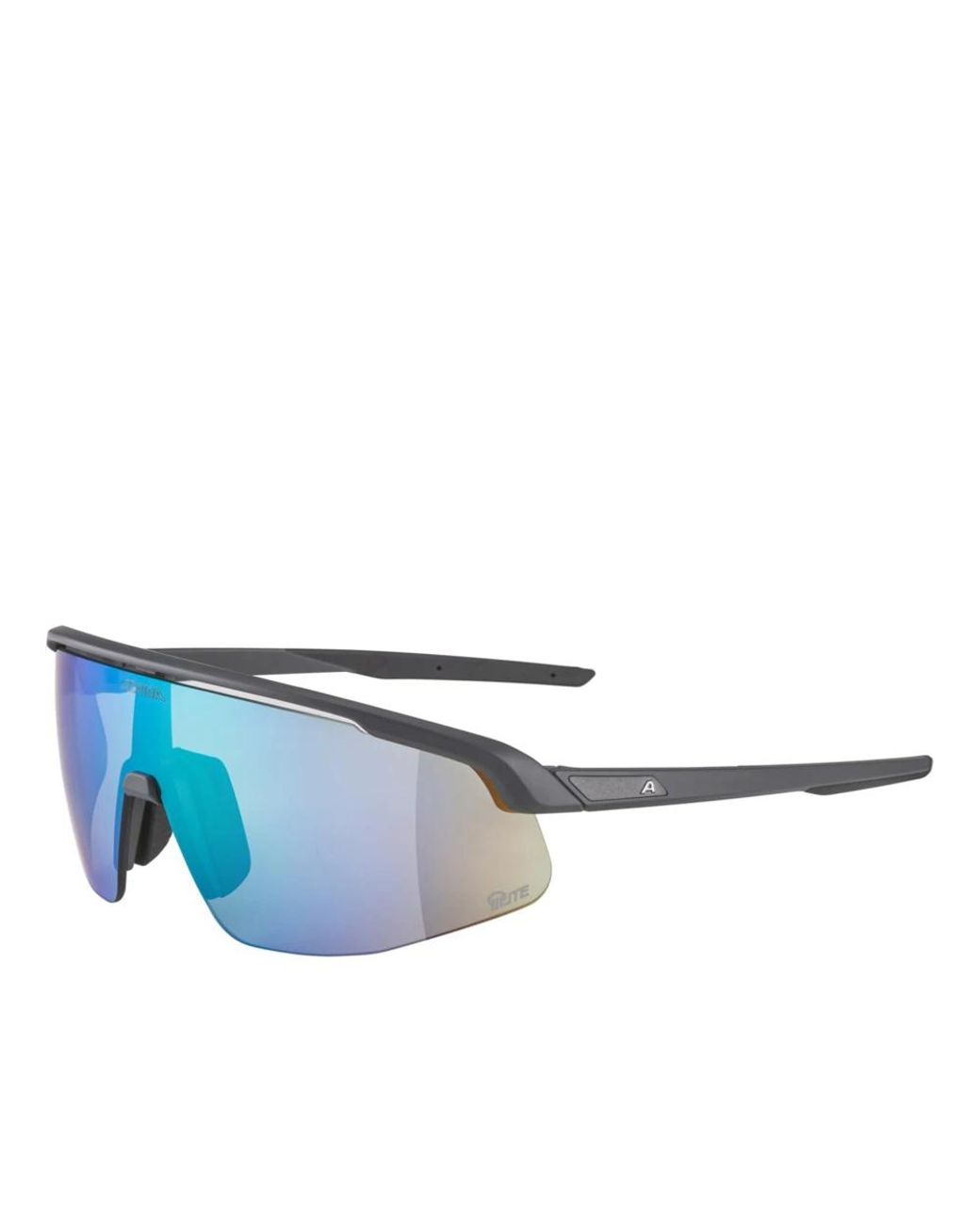 Ski Accessories di Alpina in Blue