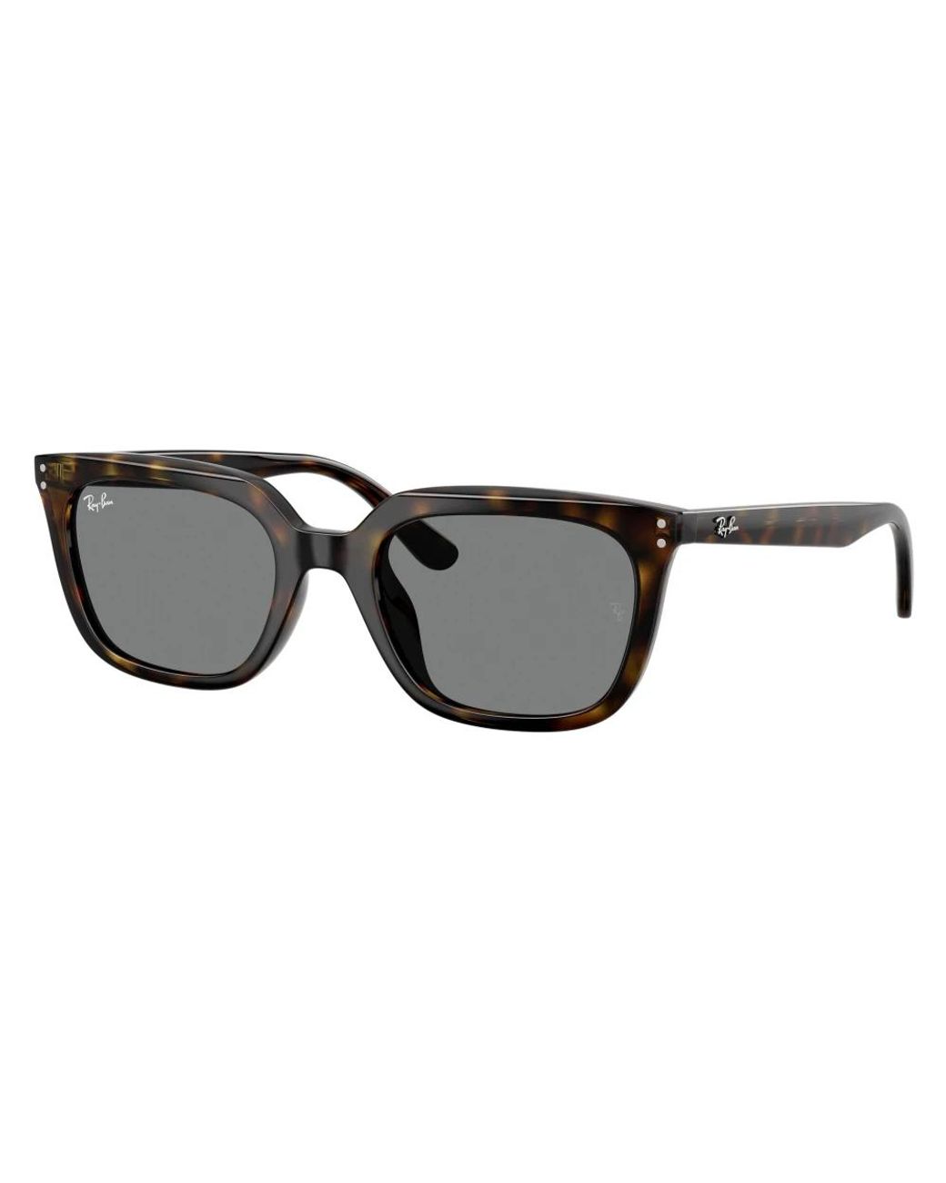 Ray-Ban Black Sunglasses