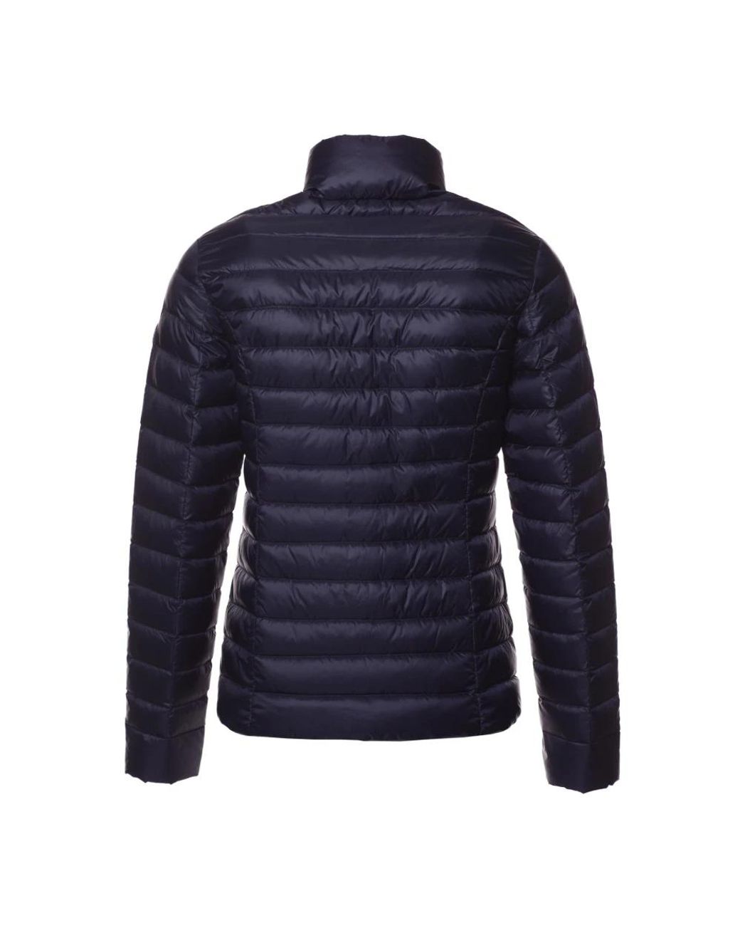 J.O.T.T Cha in het Multicolor