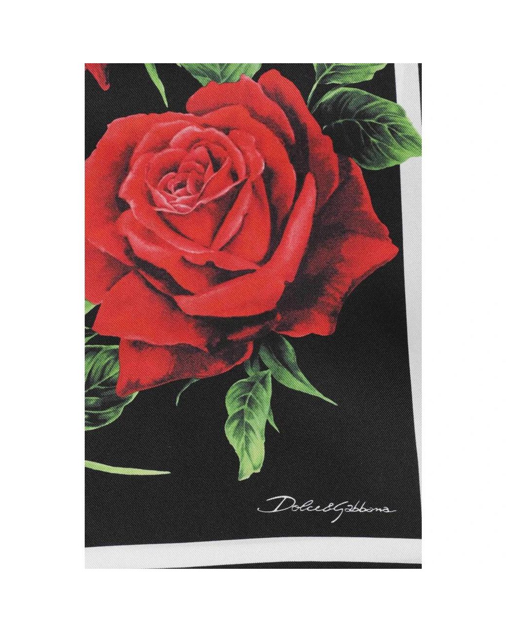Dolce & Gabbana Red Silk Scarves