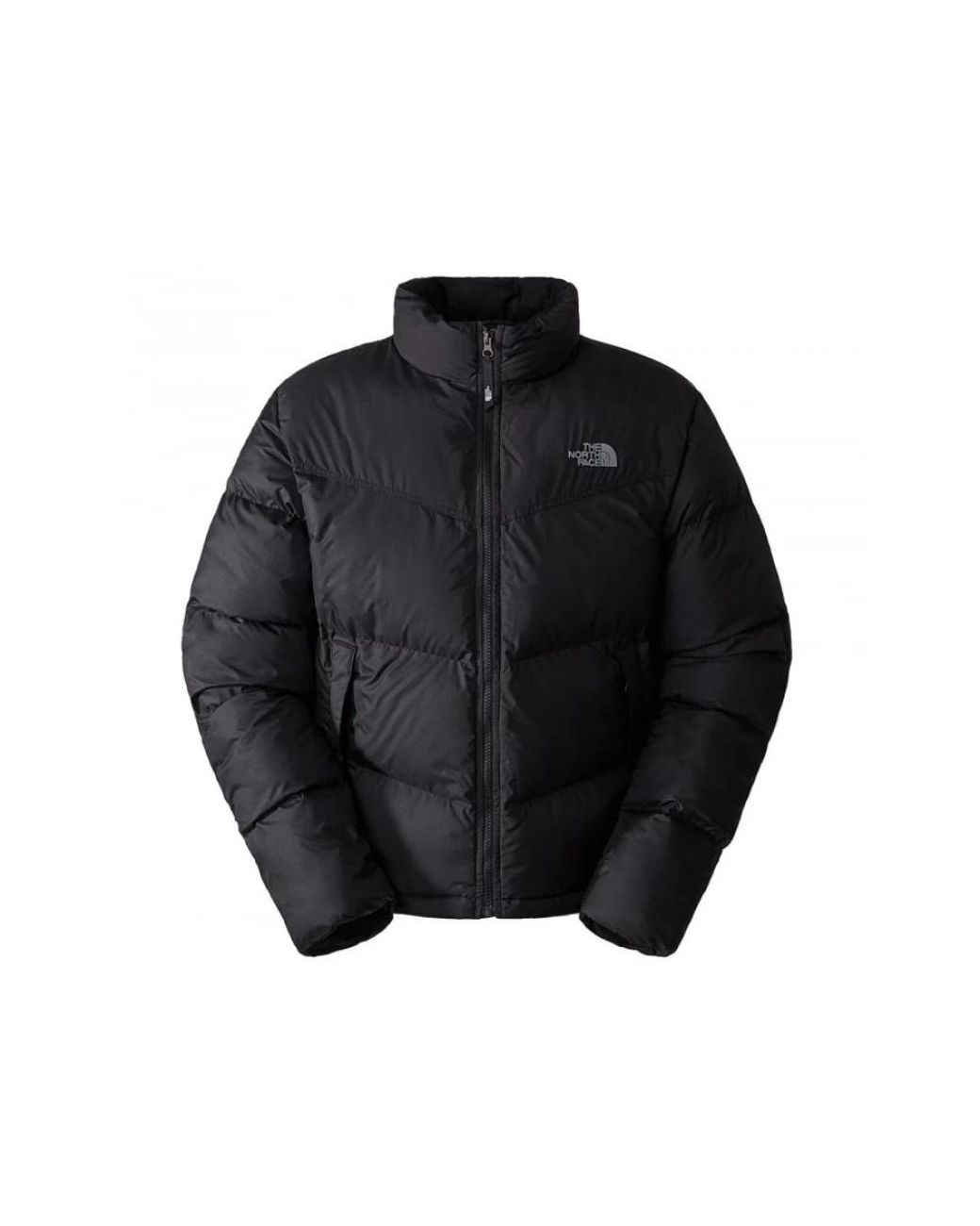 The North Face Black Winter Jackets for men