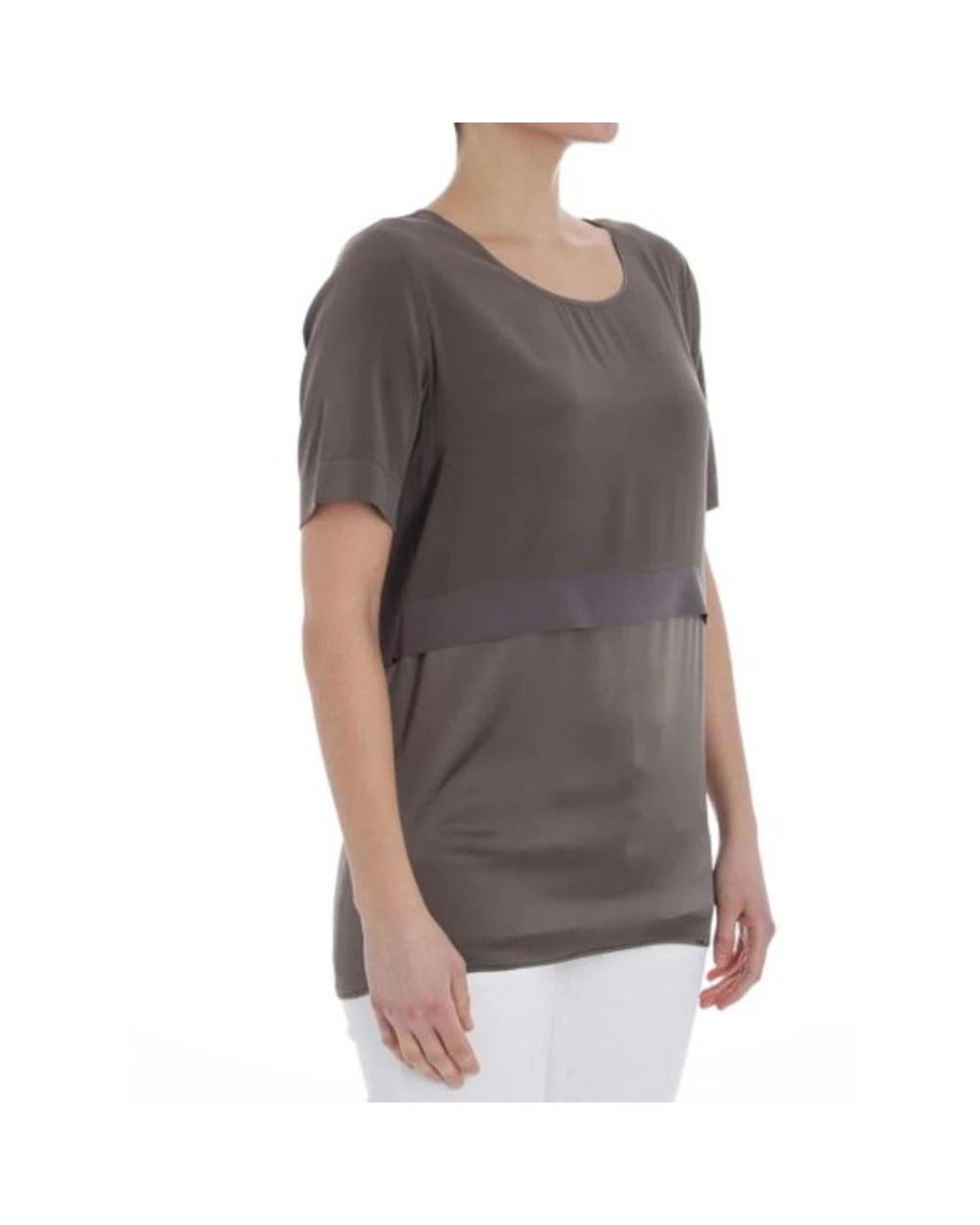 Kangra Gray T-Shirts