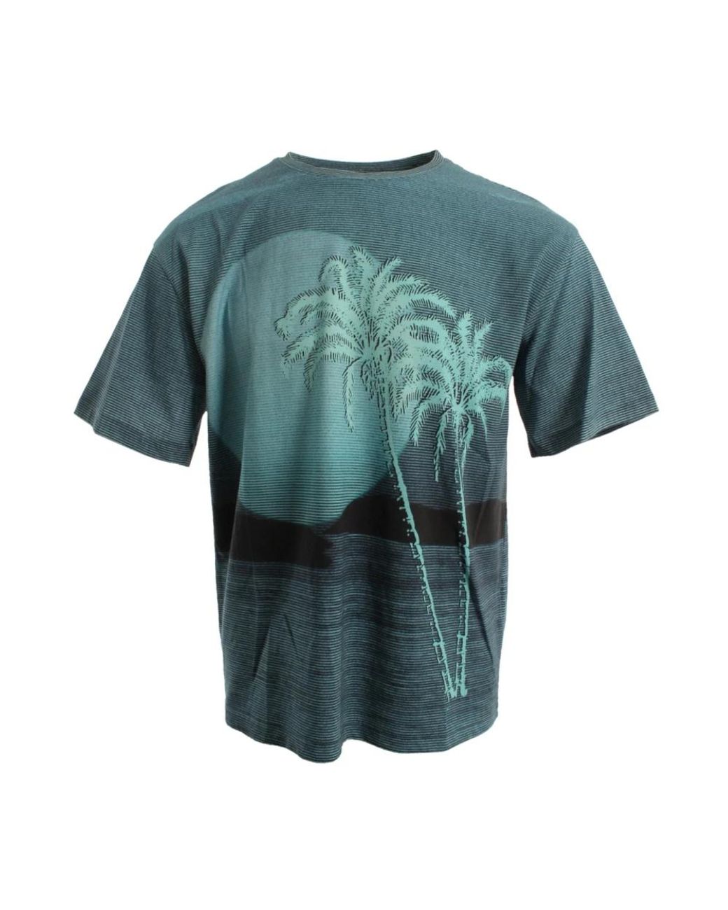 Etro Tops ,Blauw ,Katoen T-Shirt in het Green voor heren