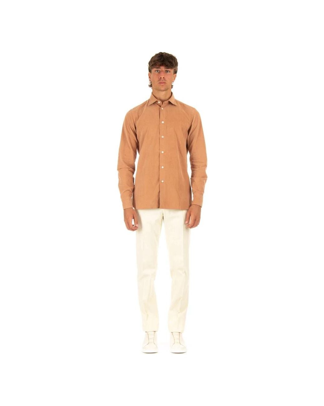 Borriello Brown Casual Shirts for men