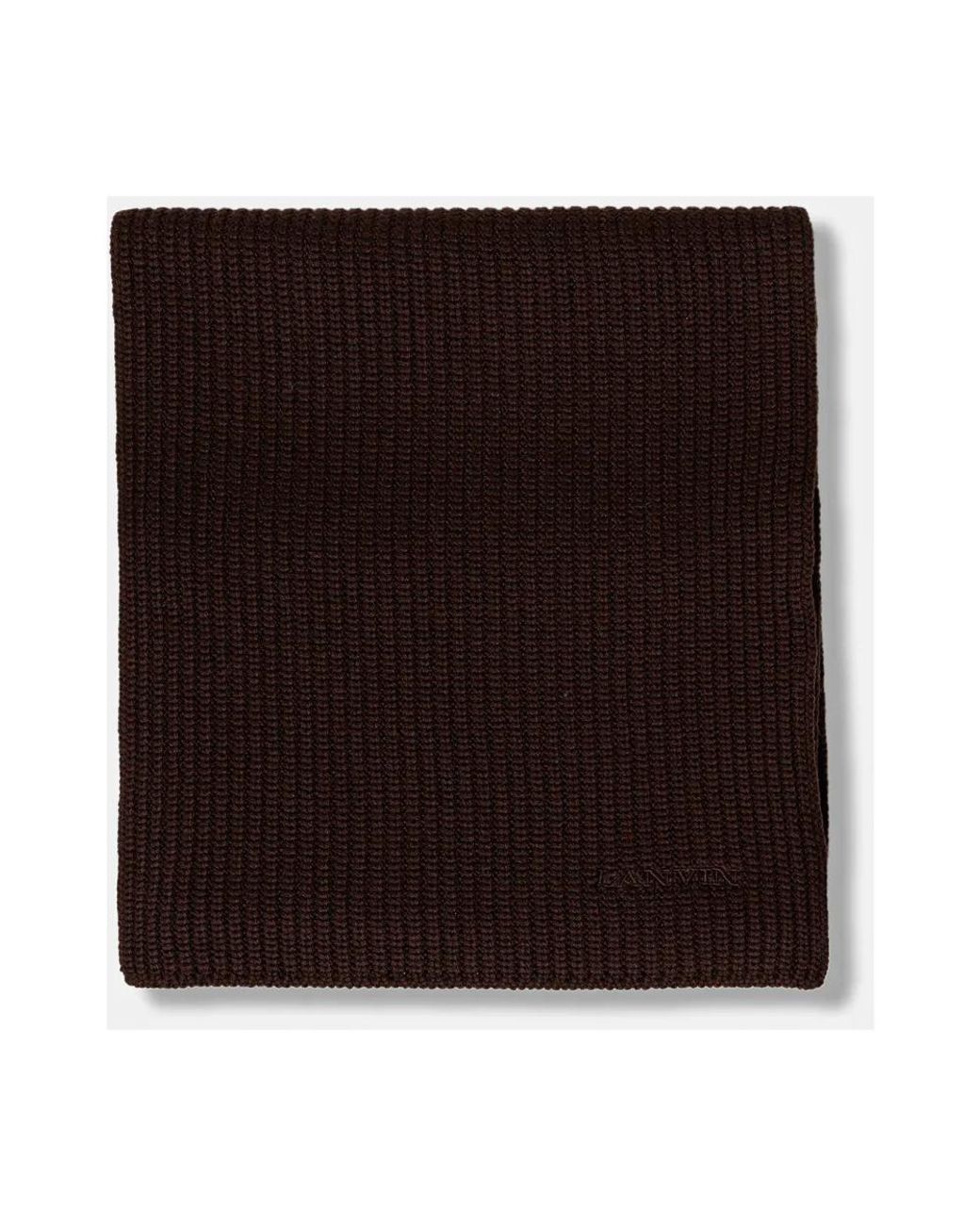 Winter Scarves di Lanvin in Brown