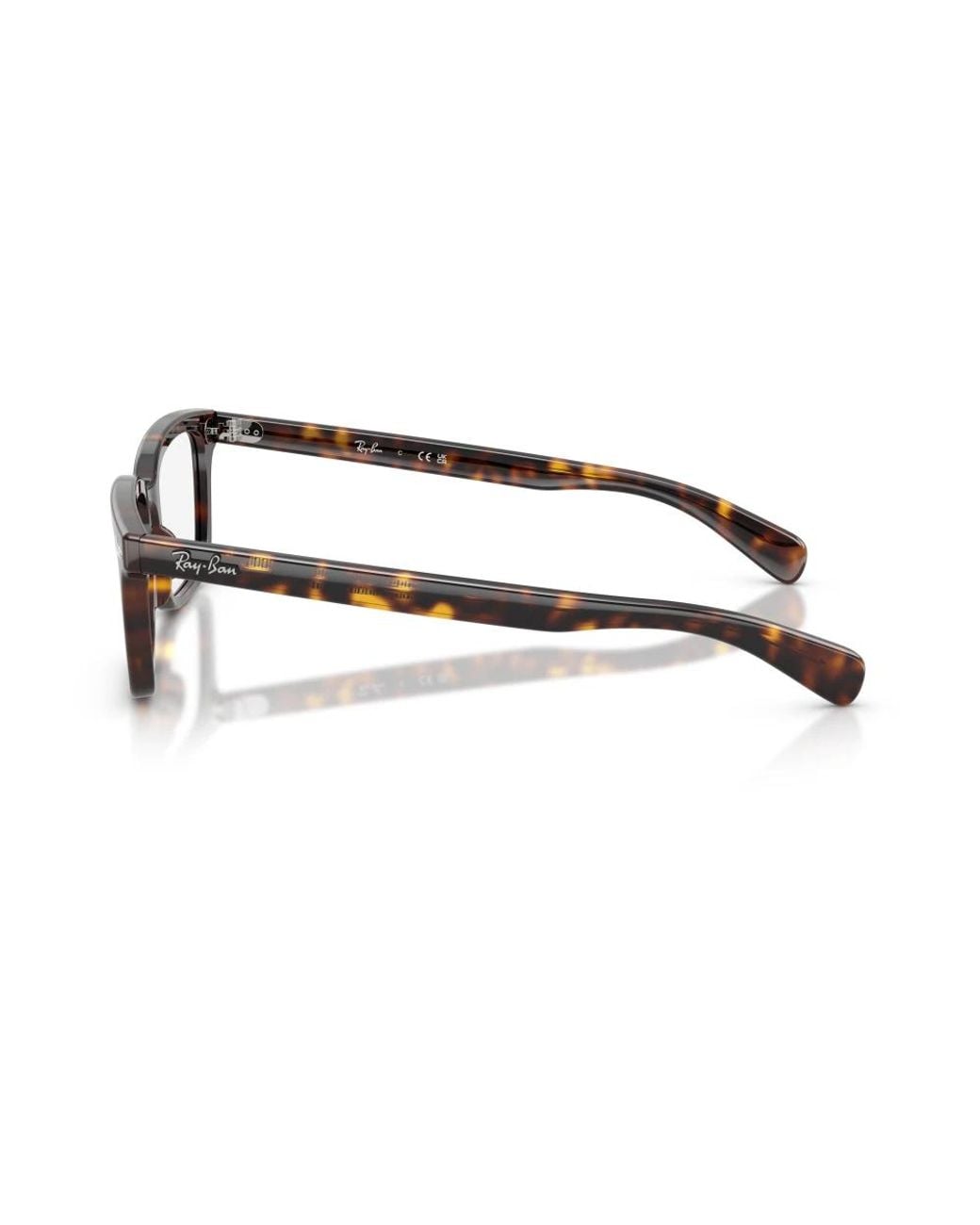 Ray-Ban Brown Glasses