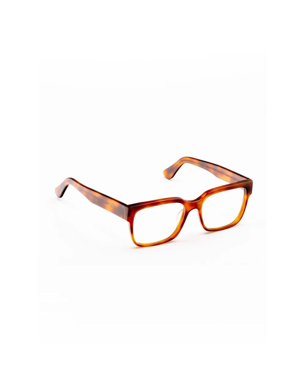 Moli Limo Brown Accessories