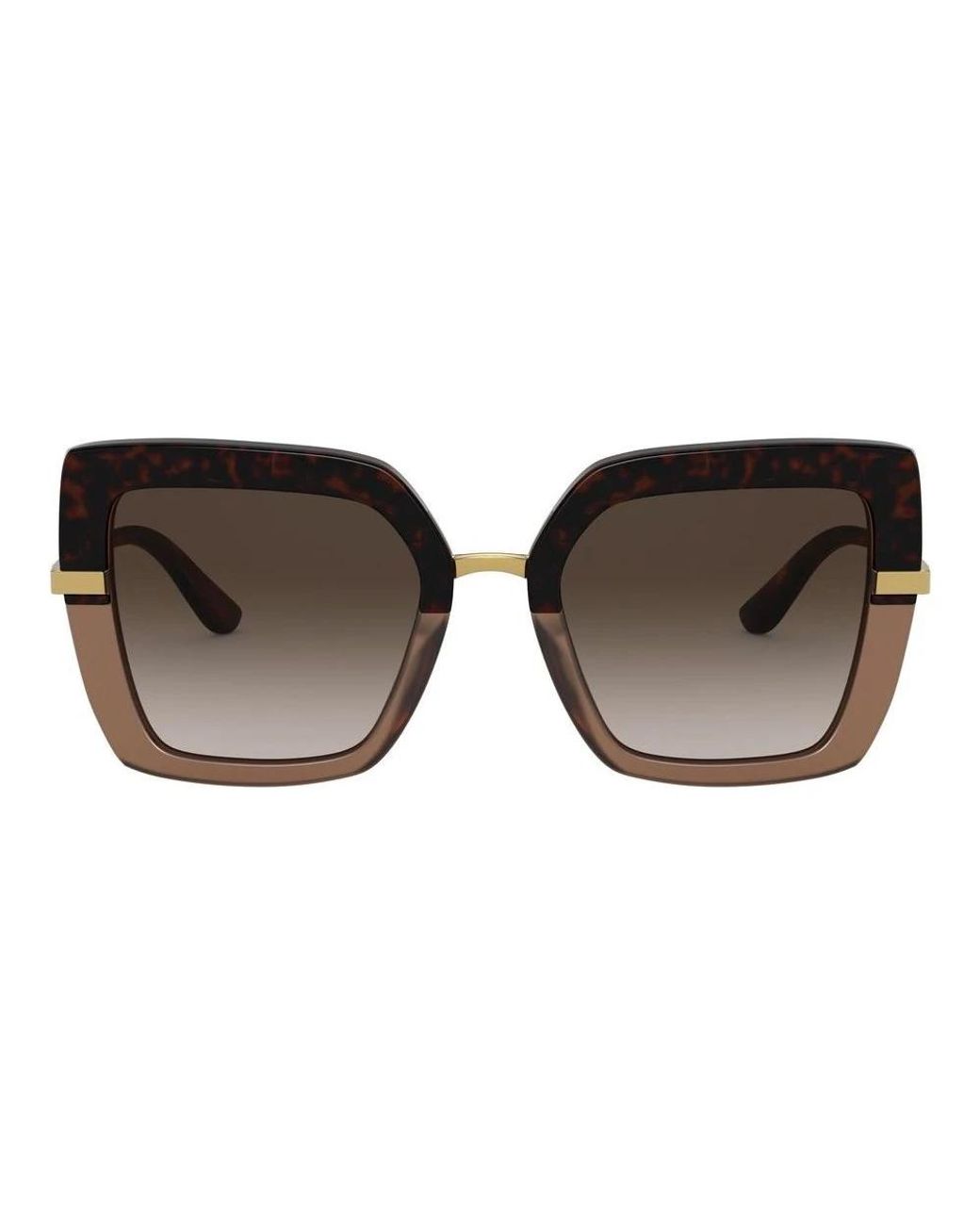 Dolce & Gabbana Brown Dolce & Gabbana Sunglasses