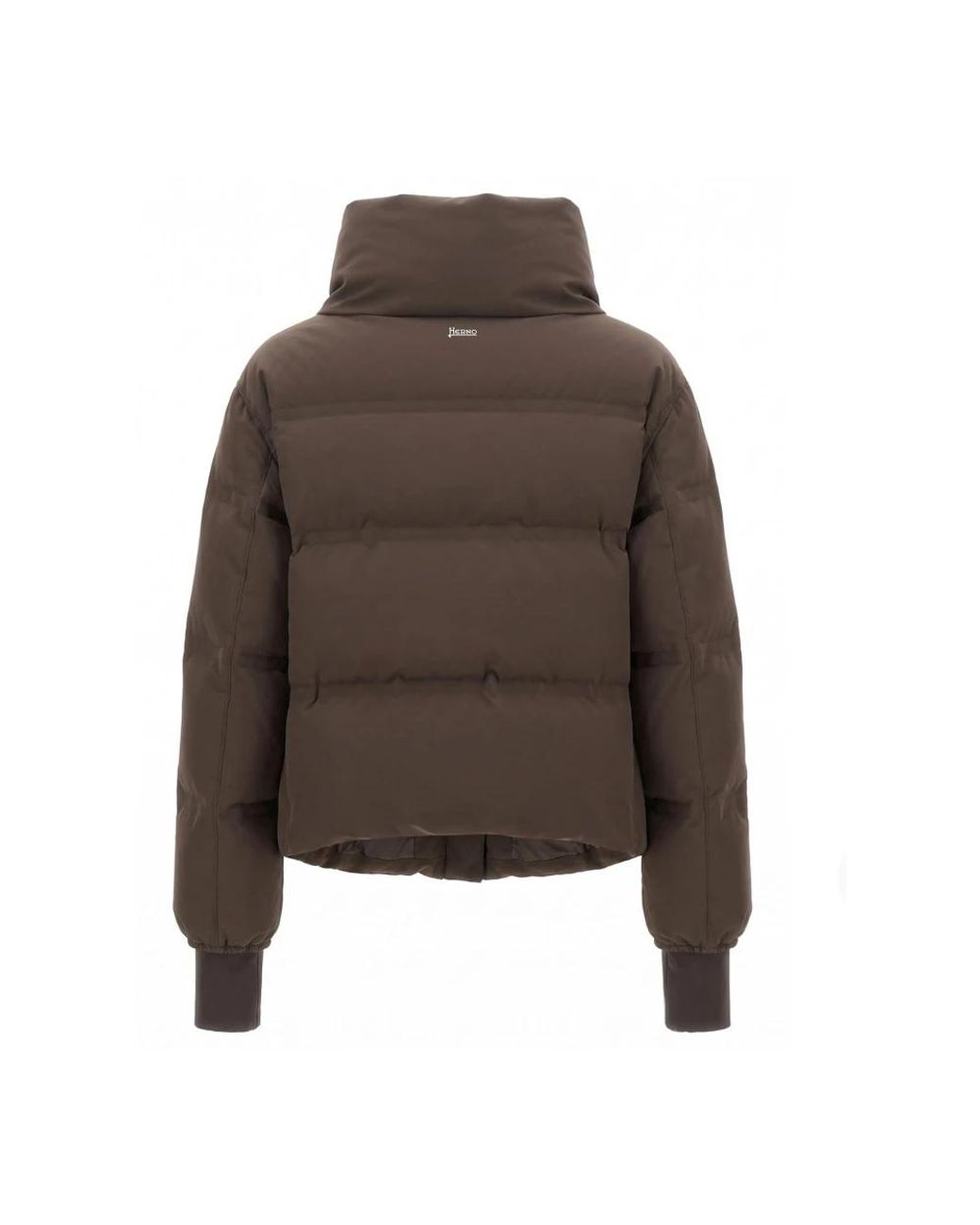 Winter Jackets Herno de color Brown