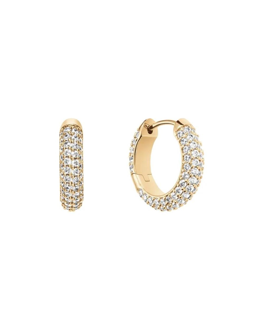 Daniel Wellington Metallic Earrings
