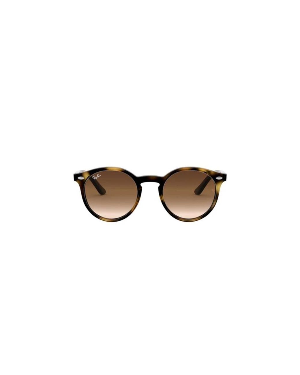 Ray-Ban Brown Sunglasses