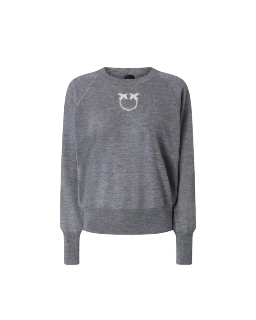 Pinko Lanzarote Sweater in het Gray