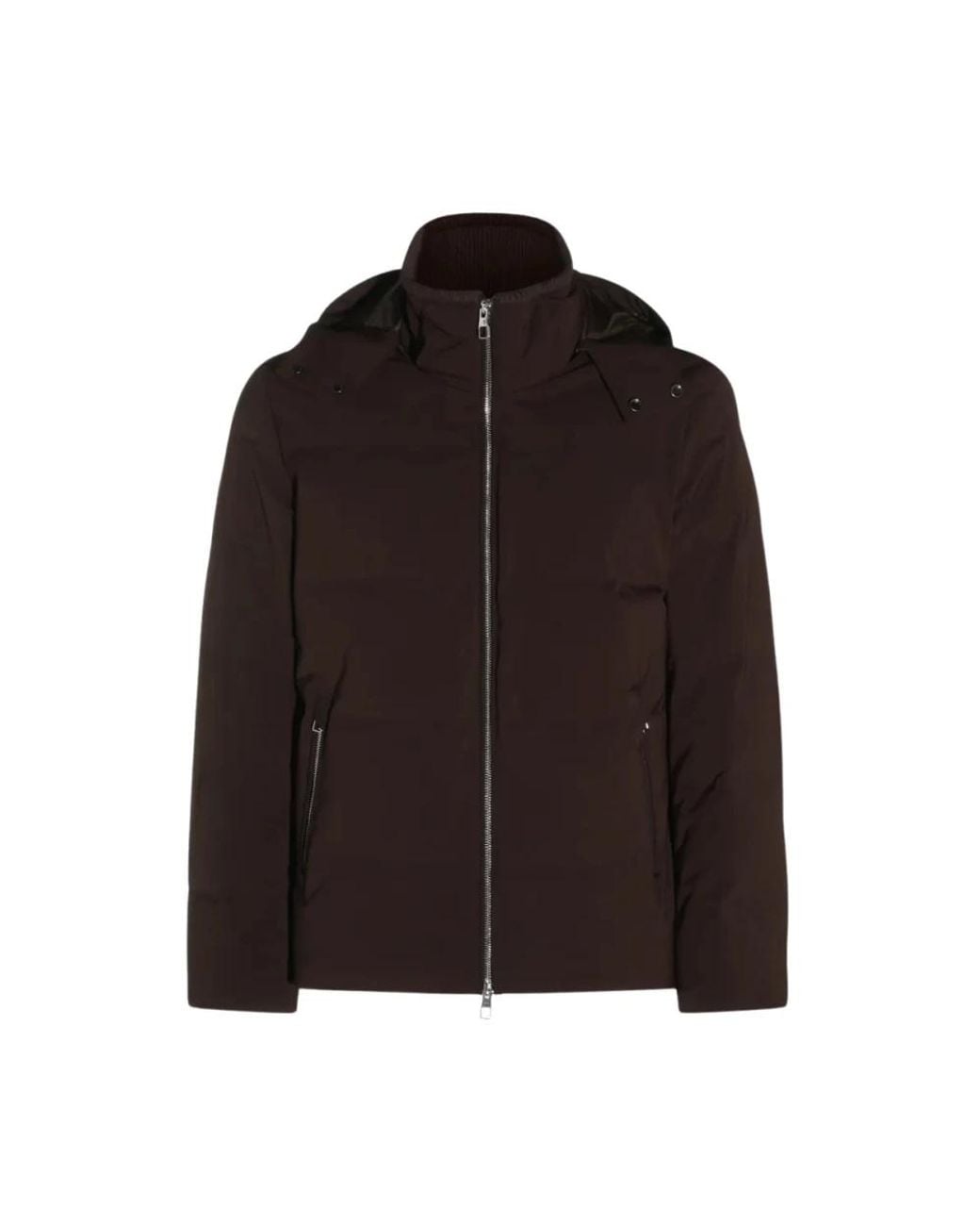 Montecore Brown Winter Jackets for men