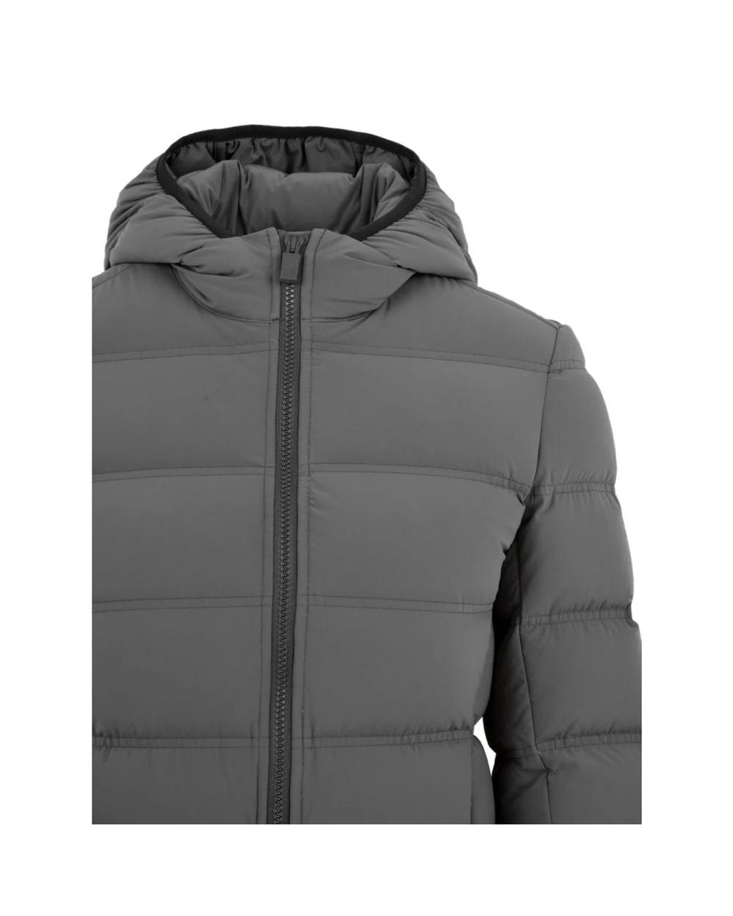 Aspesi Jassen ,Grijs Puffer Jas in het Gray