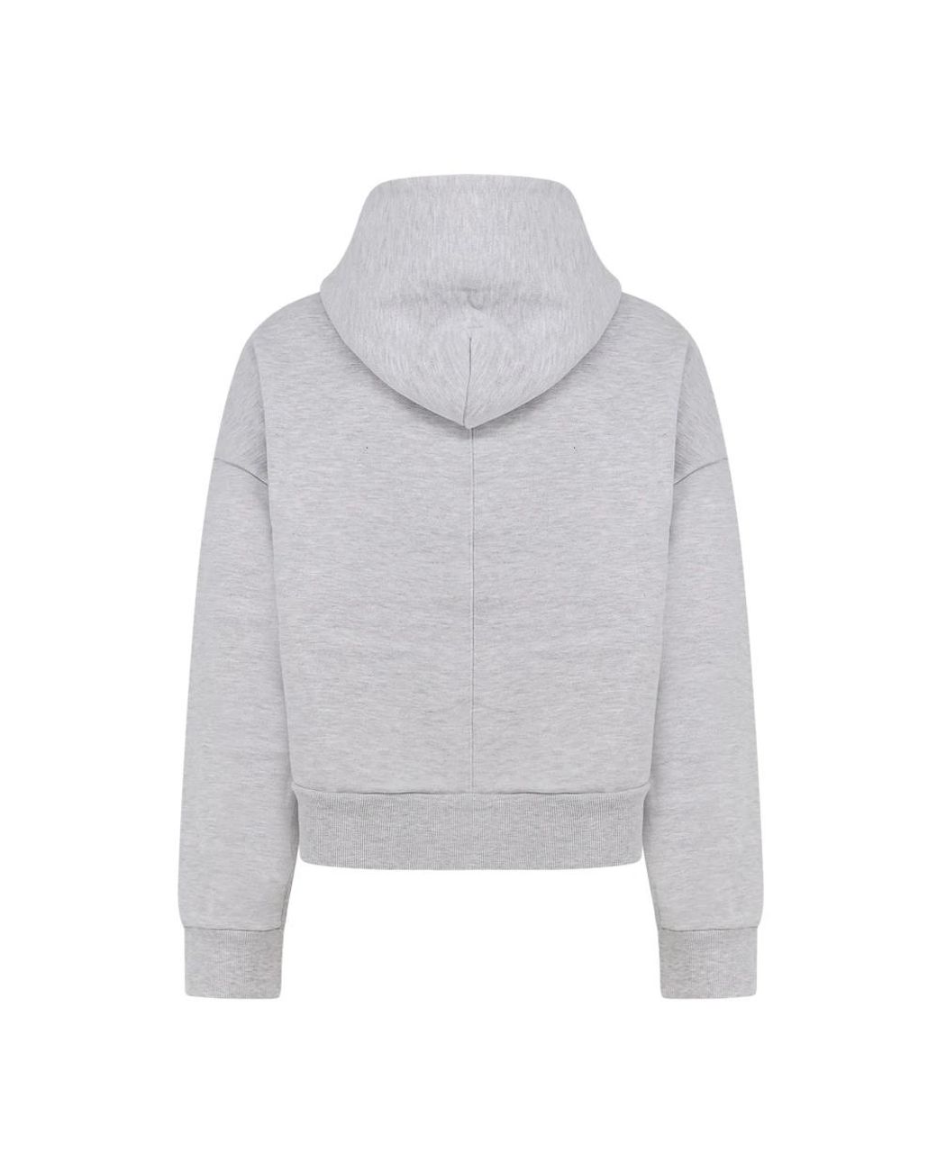 Hoodies Entire studios de hombre de color Gray