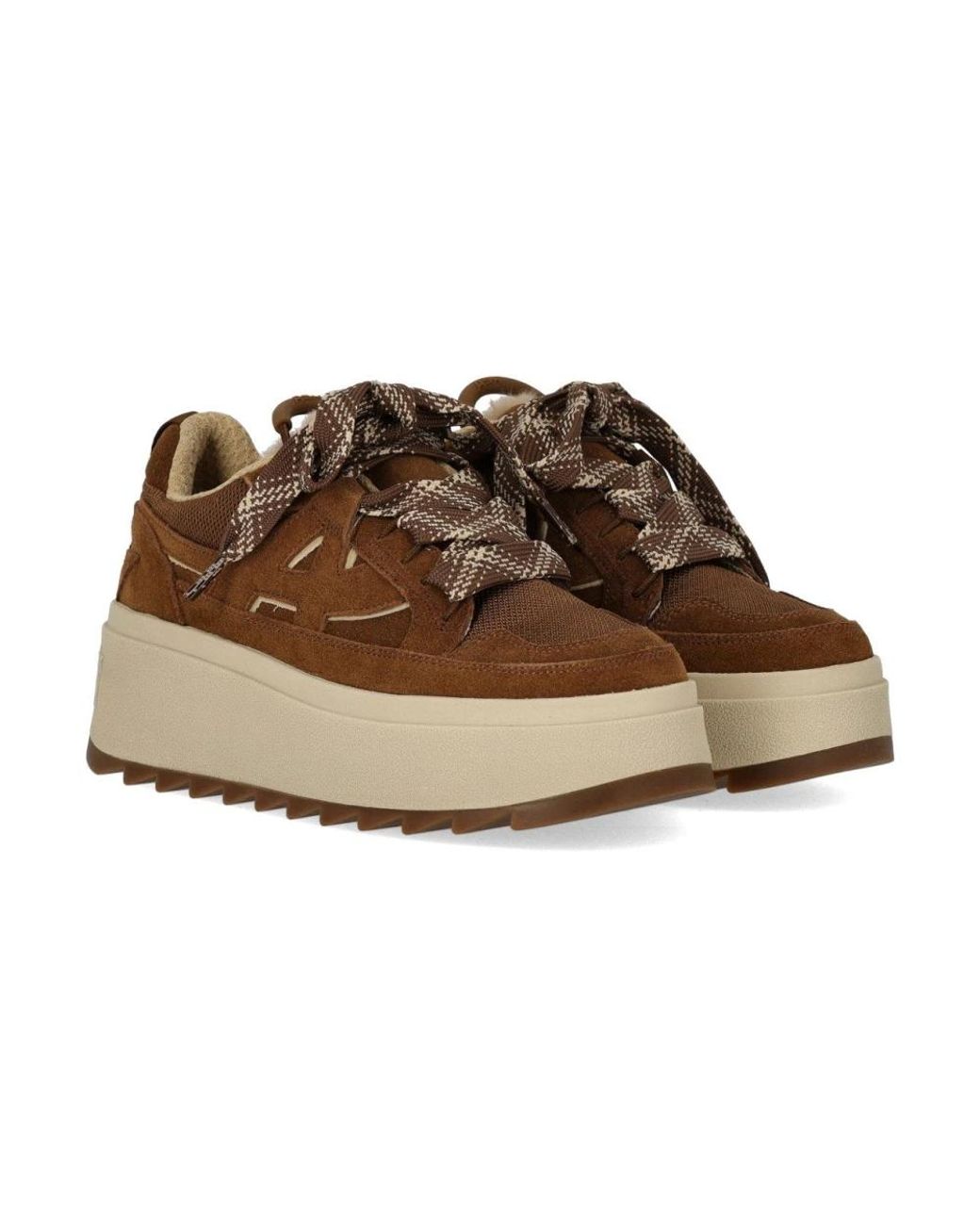 Sneakers Ash en coloris Brown