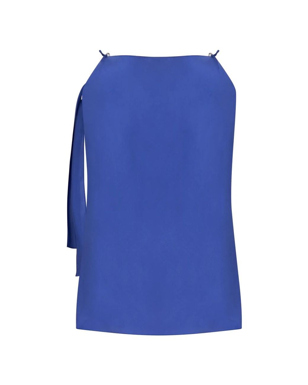 Alberta Ferretti Blue Sleeveless Tops