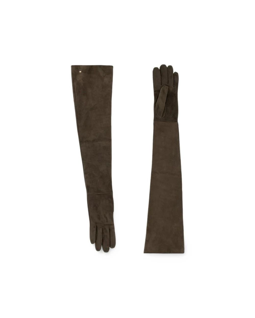 Max Mara Accessoires ,Bruin ,7 1/2 in het Brown