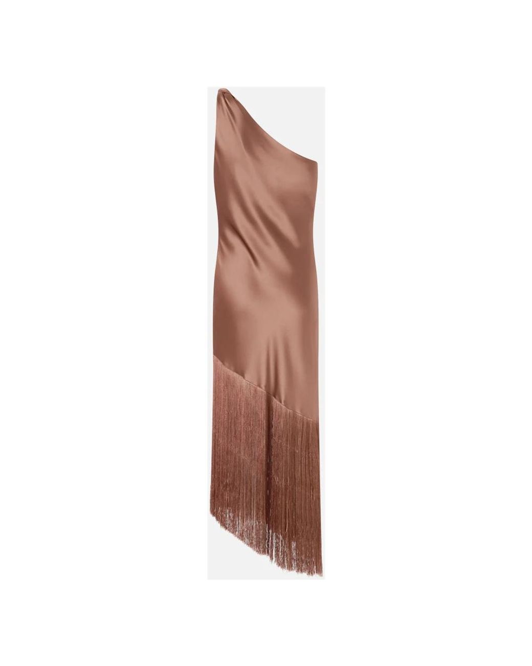 Pinko Brown Party Dresses