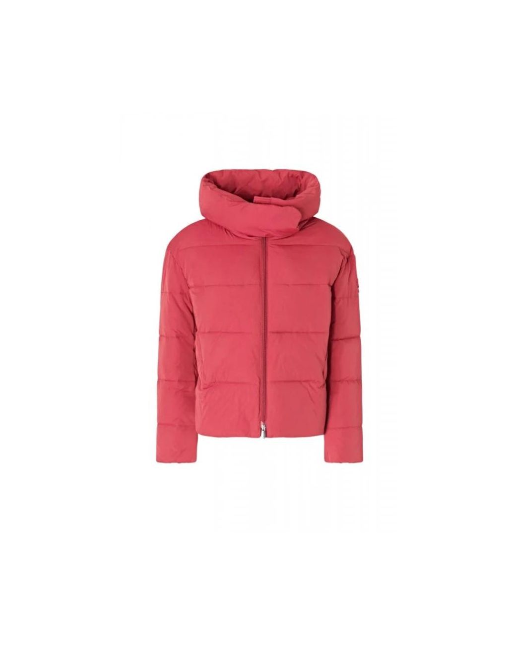 Pinko Jassen ,Rood ,Winter Jassen in het Red