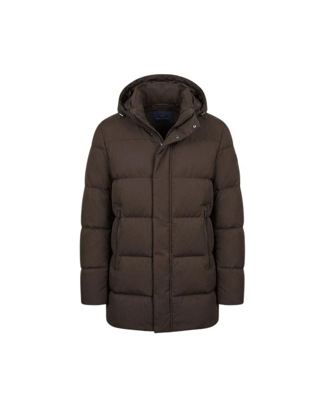 Winter Jackets Paul & Shark pour homme en coloris Brown