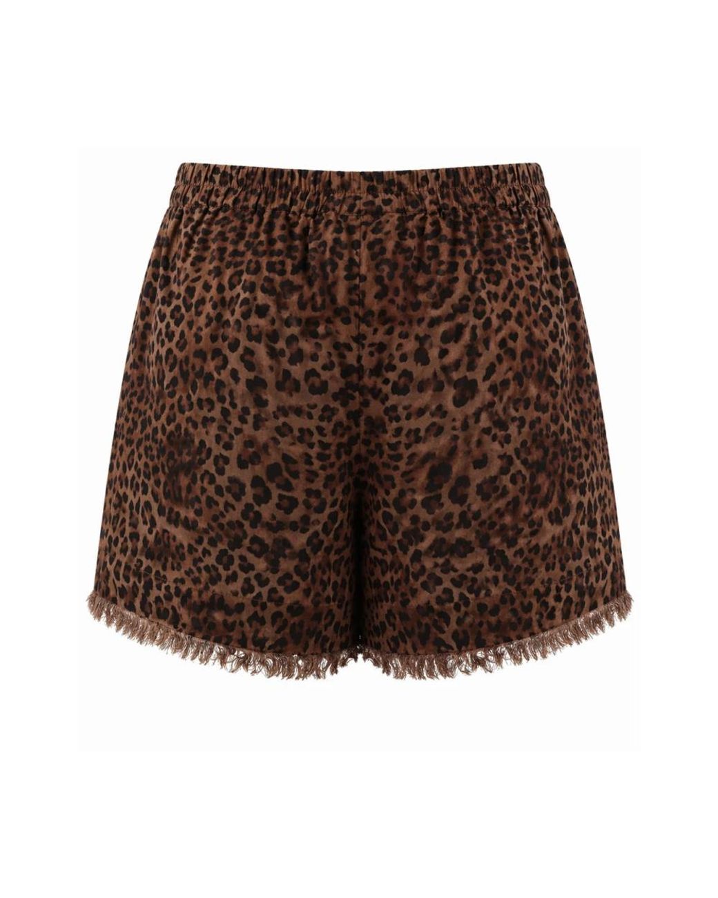 Mc2 Saint Barth Brown Short Shorts