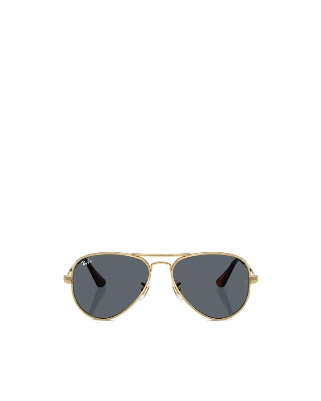 Ray-Ban Gray Sunglasses