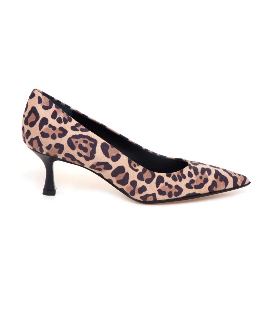 Sergio Levantesi Multicolor Pumps