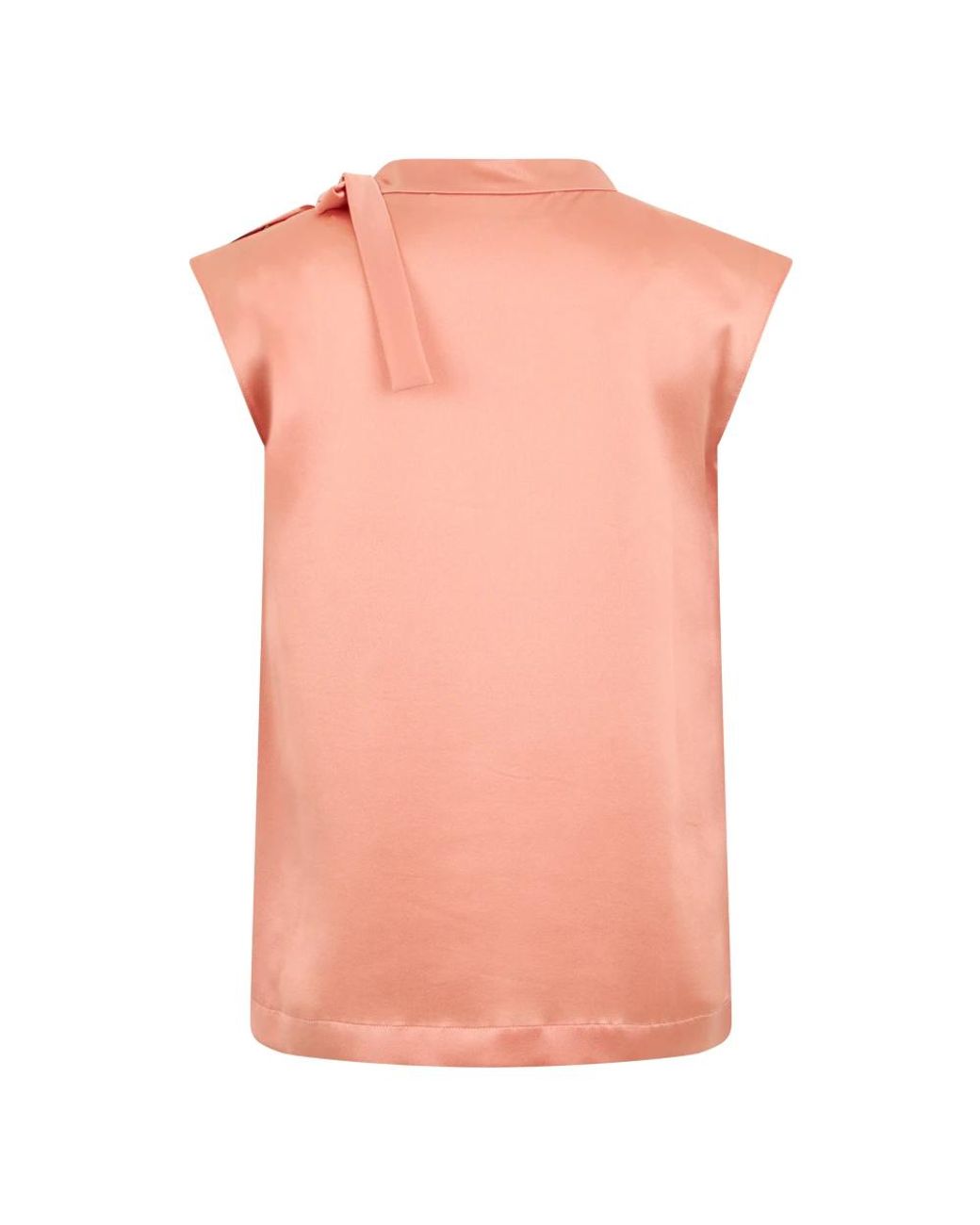 Alberta Ferretti Pink Sleeveless Tops