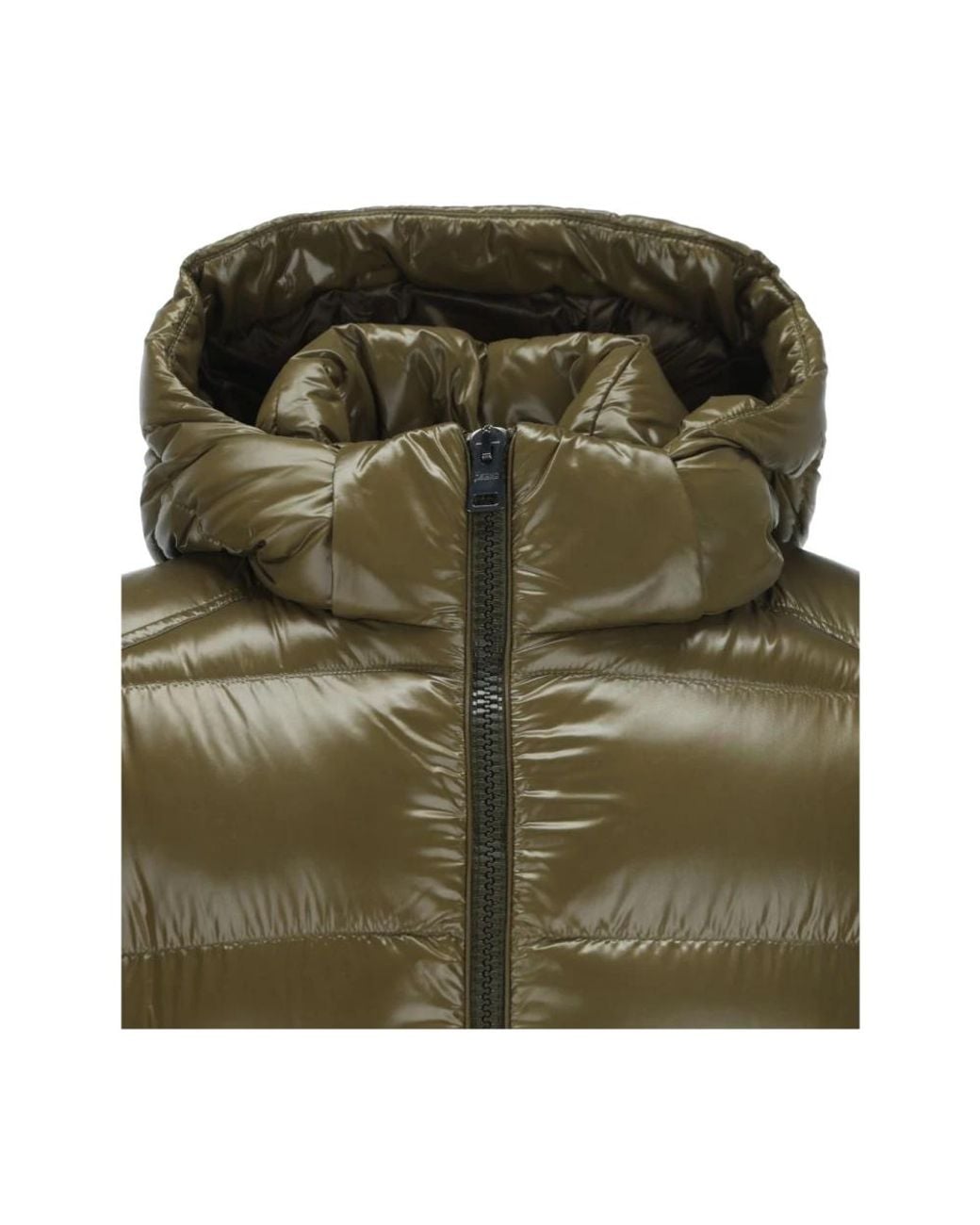Down Jackets Herno de hombre de color Green