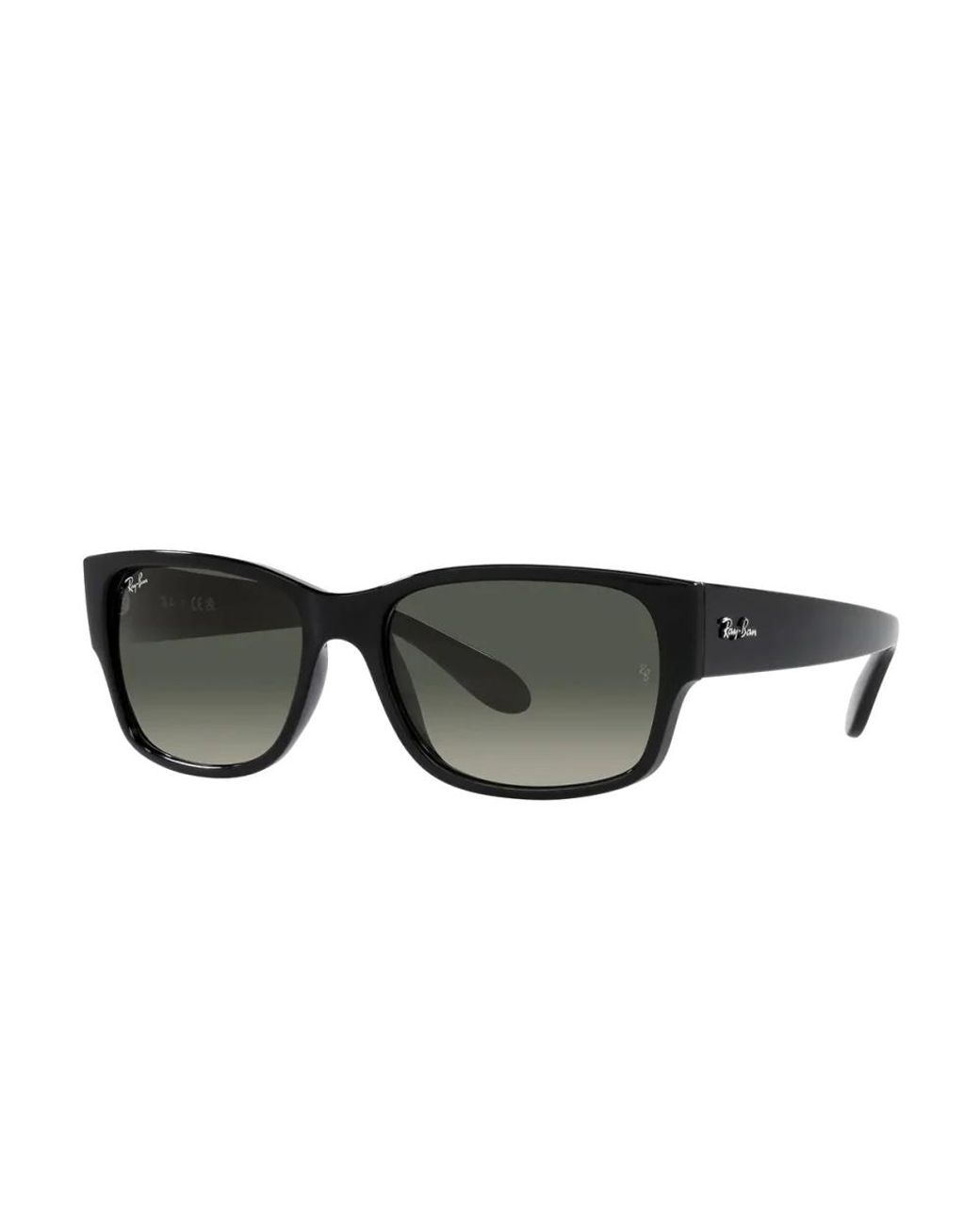 Ray-Ban Gray Sunglasses