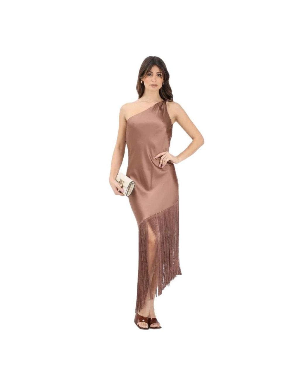 Pinko Brown Party Dresses
