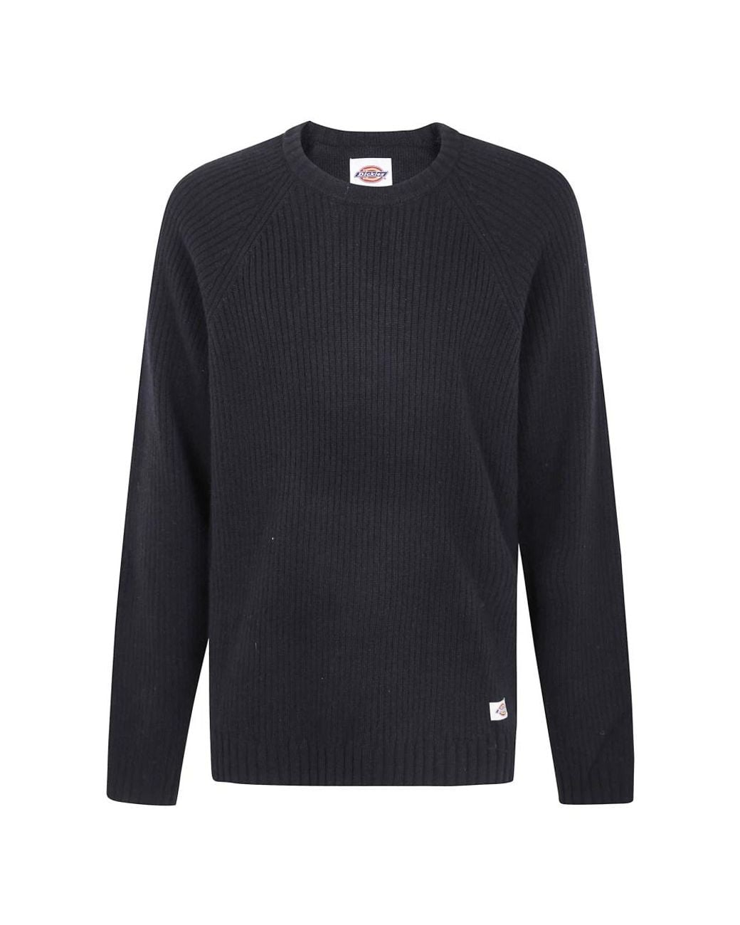 Dickies Blue Round-Neck Knitwear for men