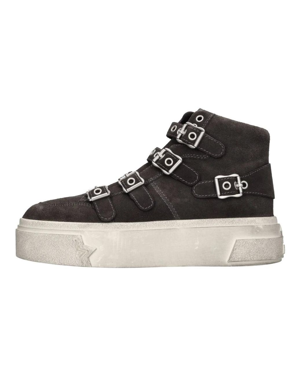 Ash Schoenen ,Grijs ,Suède Sneakers Grijs in het Black