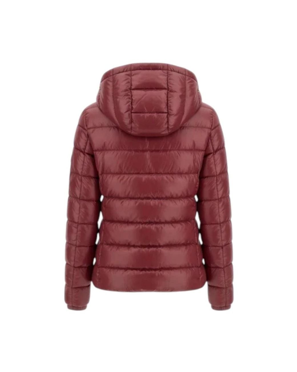 Down Jackets Herno de color Red