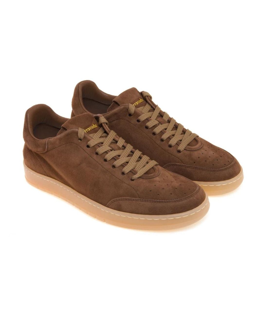 Barracuda Brown Sneakers for men
