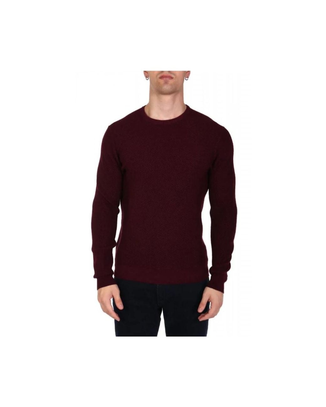 Gran Sasso Purple Round-Neck Knitwear for men