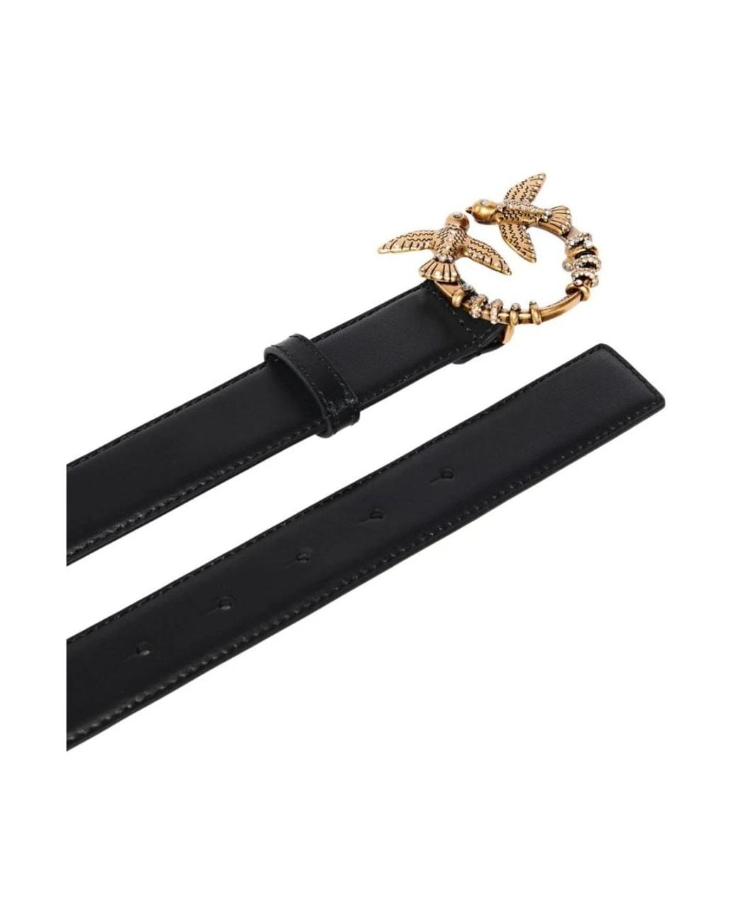 Belts di Pinko in Black